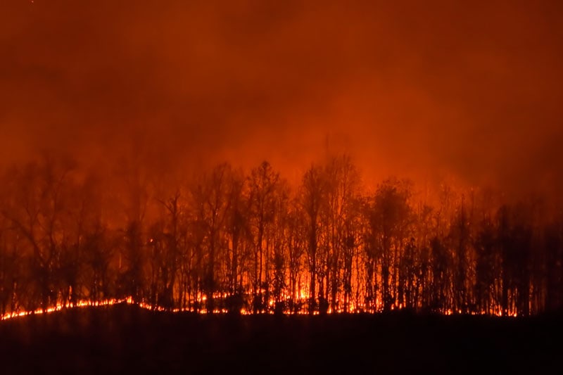 wildfire in the forest near Santa Clara, CA