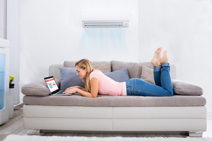 Woman in a fresh home researching using her computer, What Accessories Can Help With My Indoor Air Quality? | Air Care, HVAC, indoor air quality accessories
