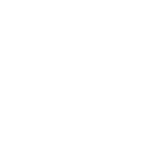 diamond-certified-logo-300-white Diamond Certified® logo
